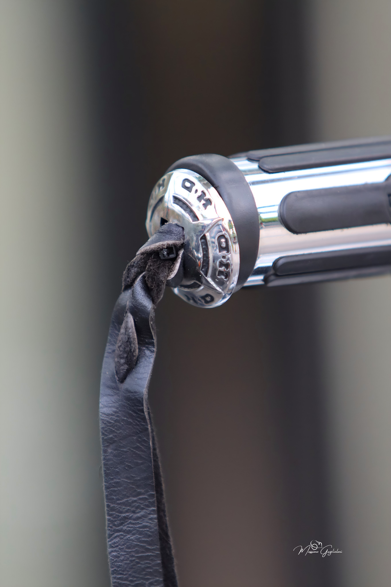 IL FASCINO DELLA HARLEY DAVIDSON