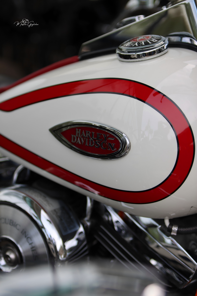 IL FASCINO DELLA HARLEY DAVIDSON