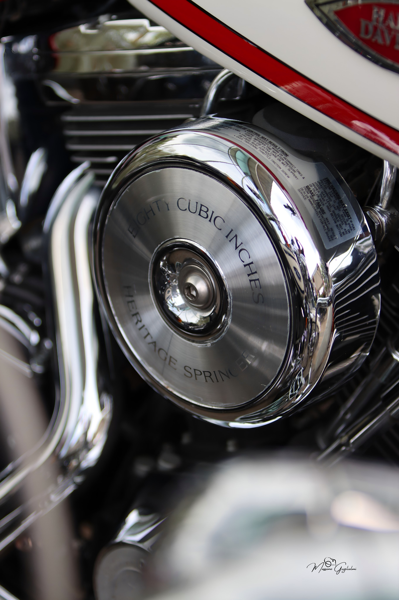 IL FASCINO DELLA HARLEY DAVIDSON