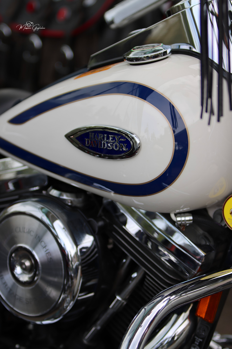 IL FASCINO DELLA HARLEY DAVIDSON