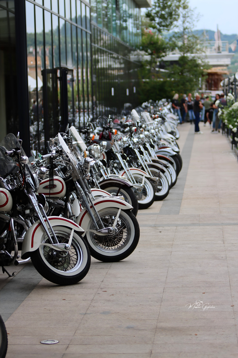 IL FASCINO DELLA HARLEY DAVIDSON