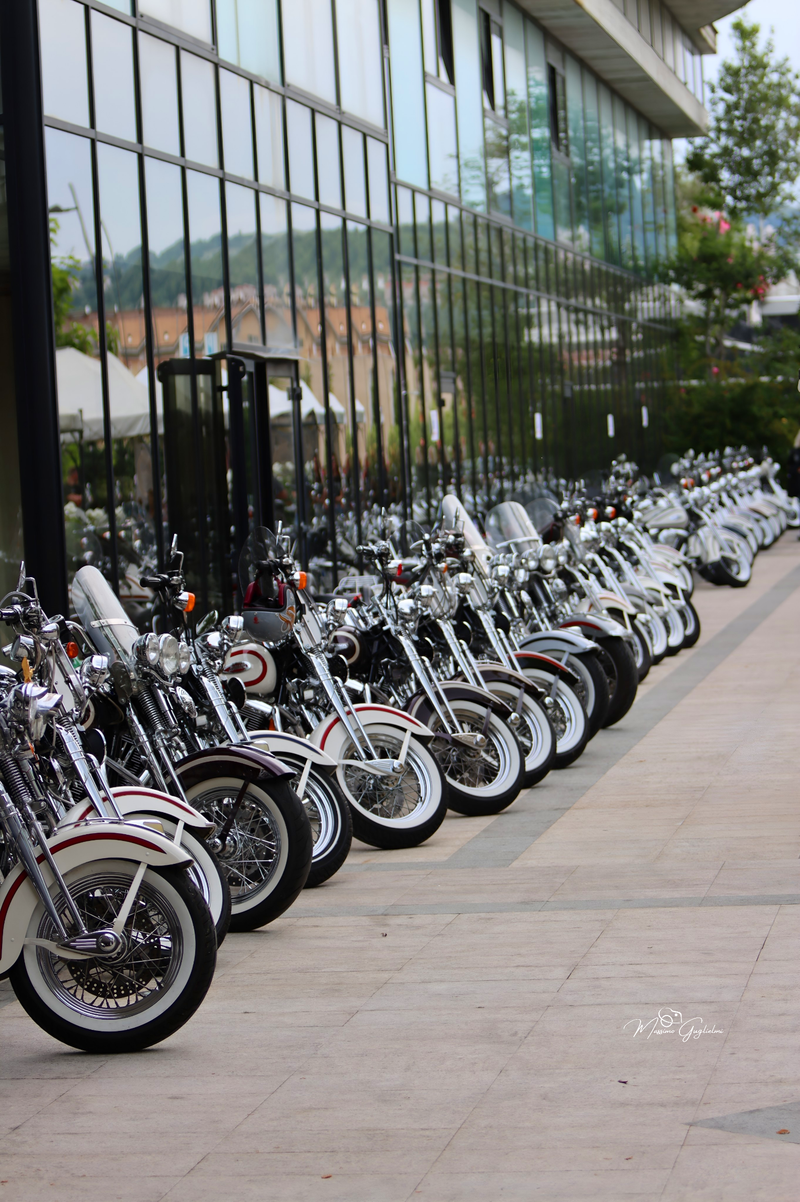 IL FASCINO DELLA HARLEY DAVIDSON