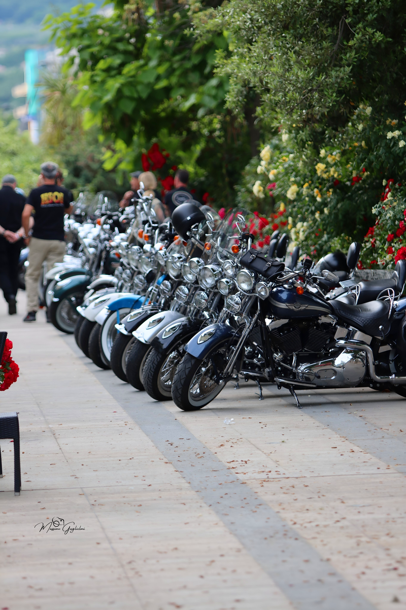 IL FASCINO DELLA HARLEY DAVIDSON