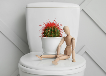 טחורים ופיסורות