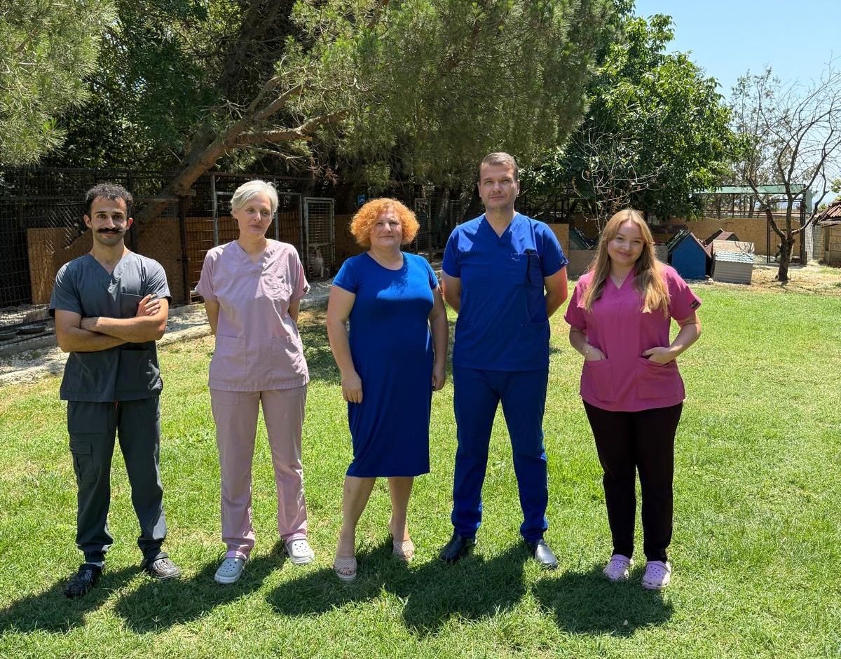 Felçli, yaşlı ve ağır hasta hayvanlar için ENCANDER