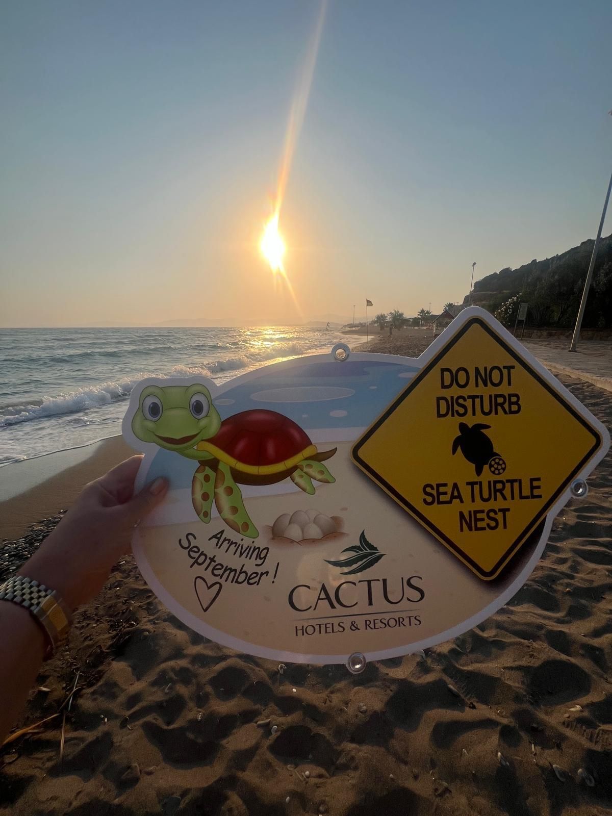“Zühre”nin Mucizesi: Caretta Caretta Club Yalı Resort Sahilinde Yumurtladı
