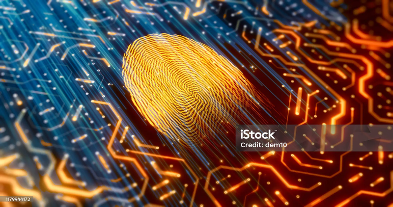 Network Forensic