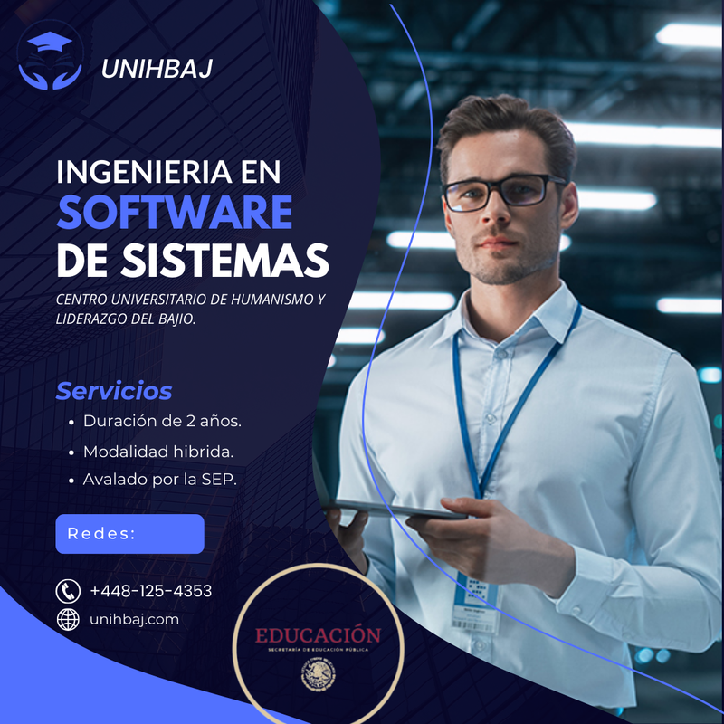 Ingeniería en software de sistemas