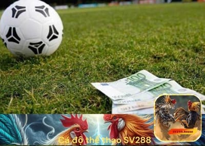 Cá Độ Thể Thao SV288: Địa Chỉ Tin Cậy Cho Người Đam Mê Thể Thao