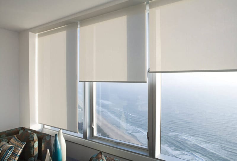 Elegant Comfort and Style: The Rise of Window Blinds in Delhi Homes