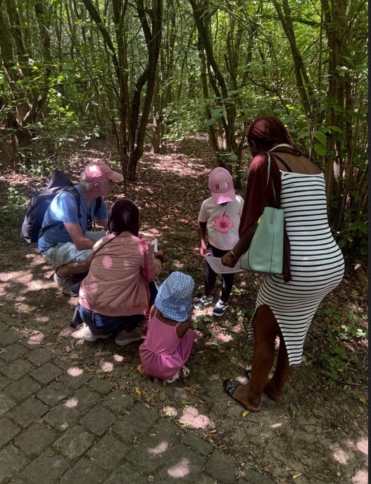 Sortie famille sur les traces des animaux de la forêt