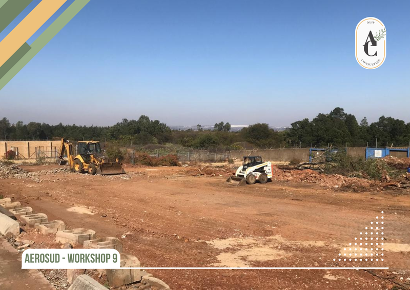 AeroSud - Workshop 9