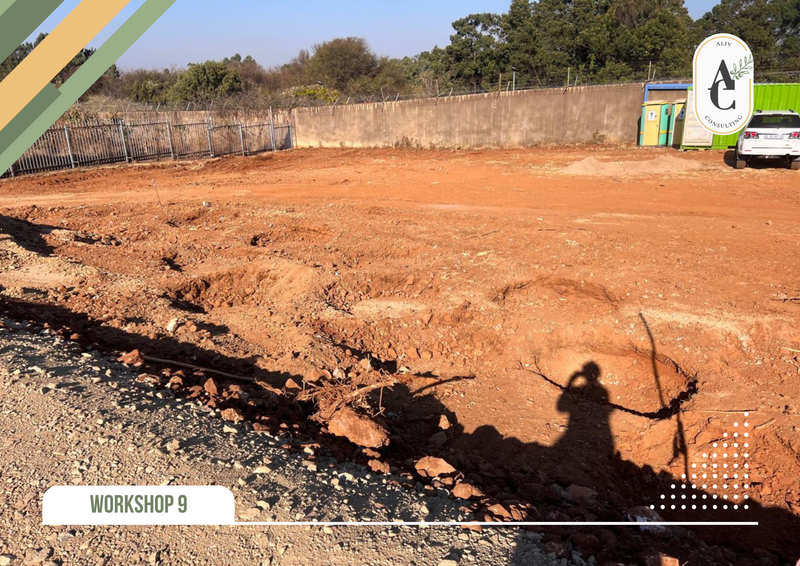 AeroSud - Workshop 9