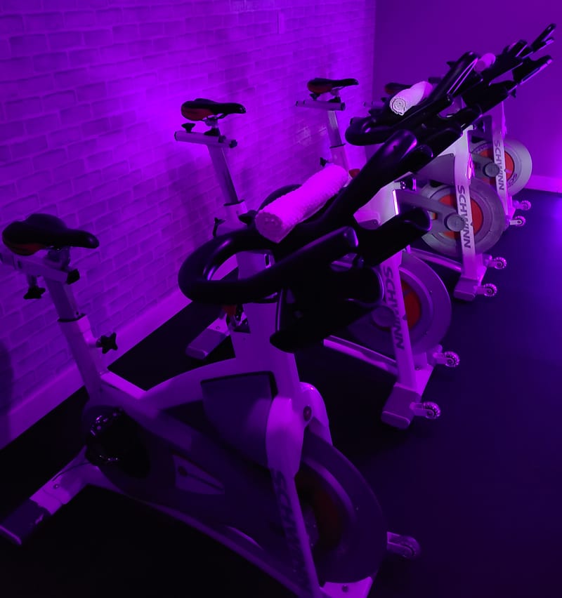 SPIN
