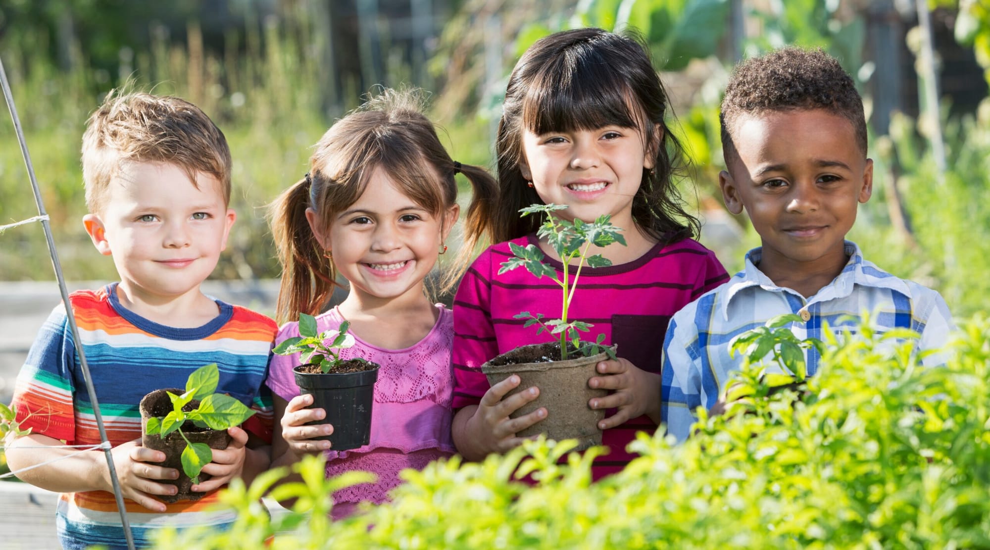 The Importance of Early Learning