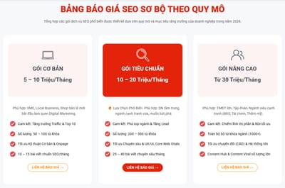 Cac hang muc cau thanh chi phi SEO website