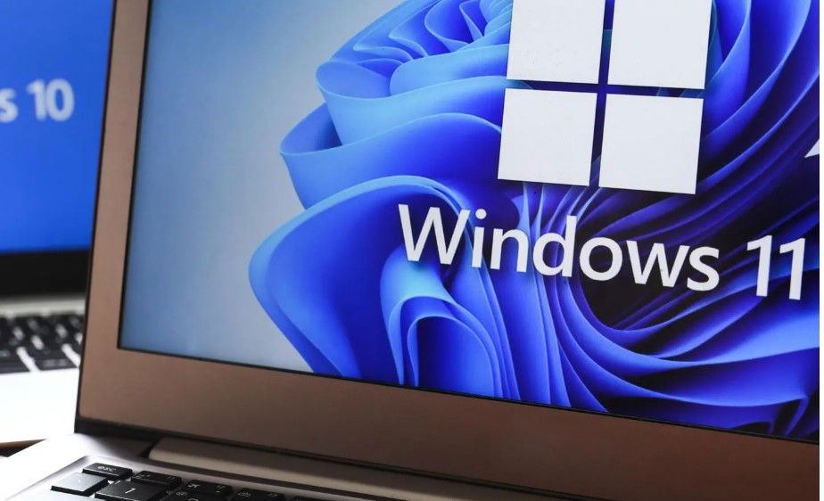 Need Windows