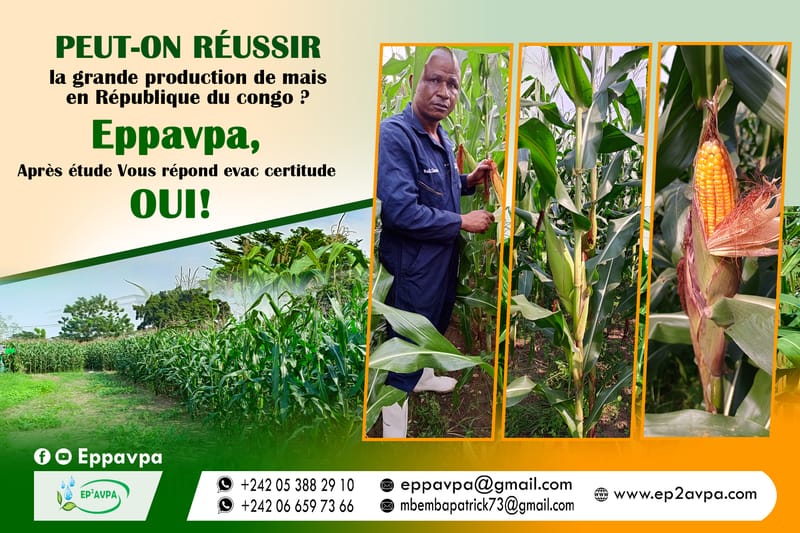 Protection des Cultures