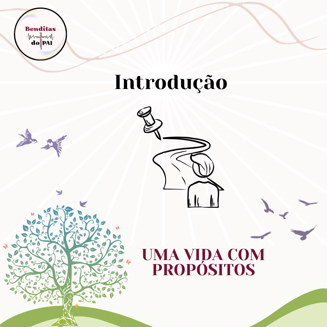 INTRODUÇÃO