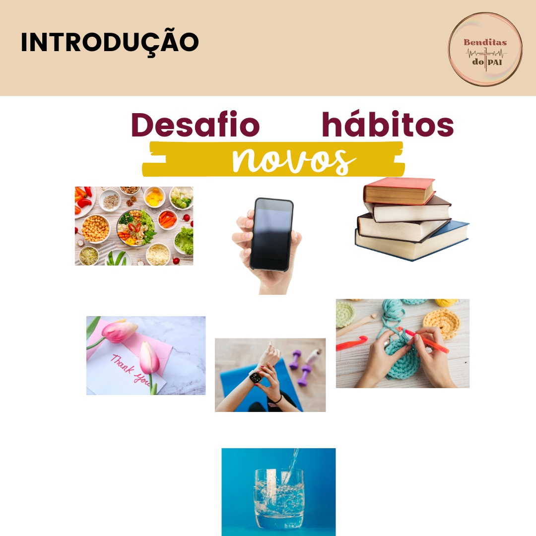 INTRODUÇÃO