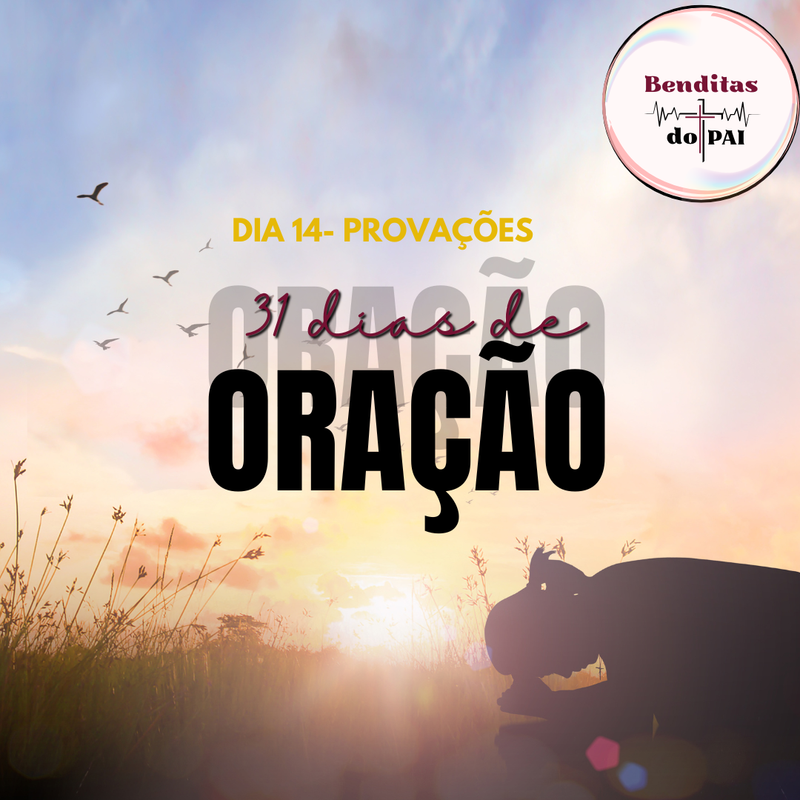 DIA 14- PROVAÇÕES