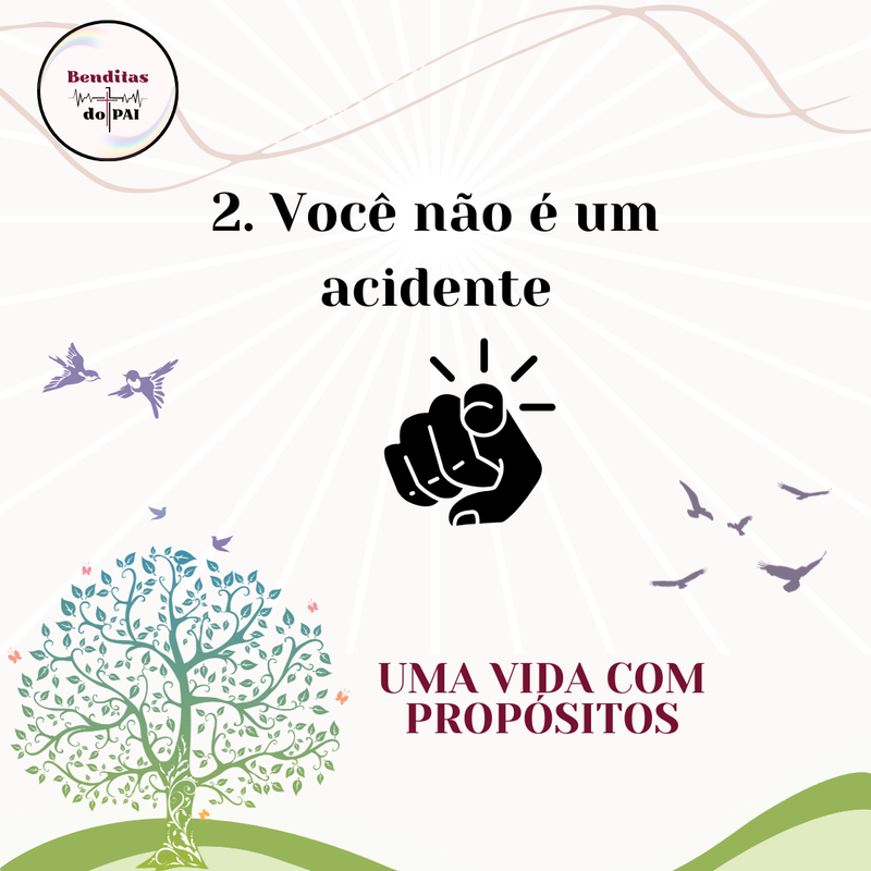 2 - VOCÊ NÃO É UM ACIDENTE