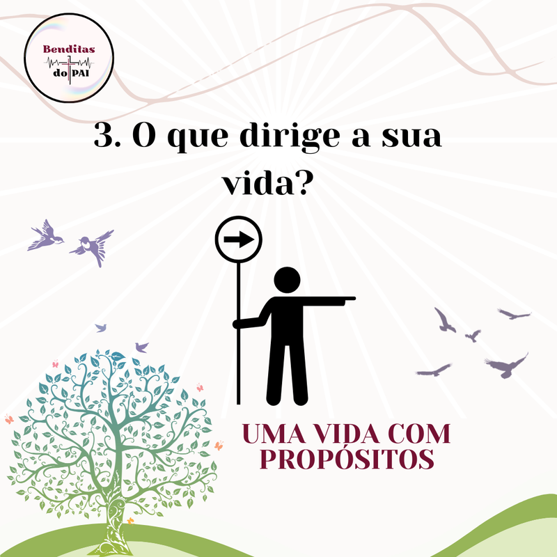 3 -  O QUE DIRIGE SUA VIDA?