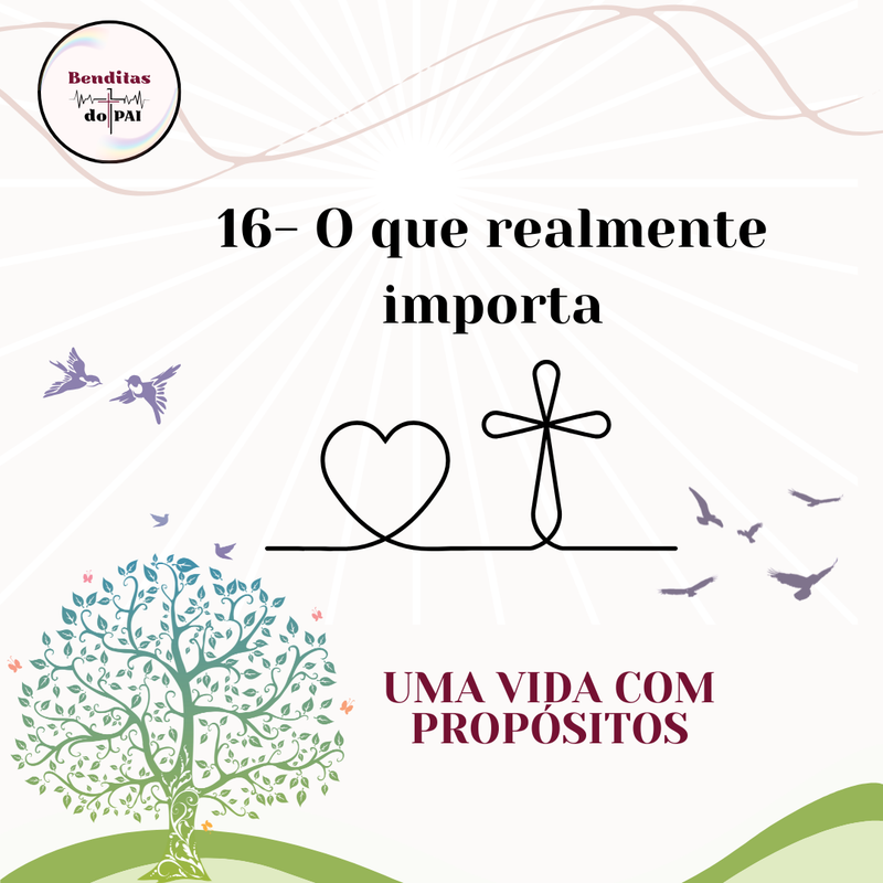 16 -  O QUE REALMENTE IMPORTA