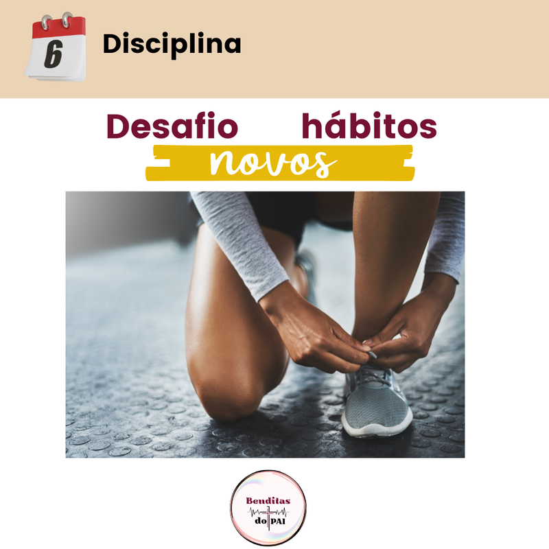 DIA 6 - DISCIPLINA