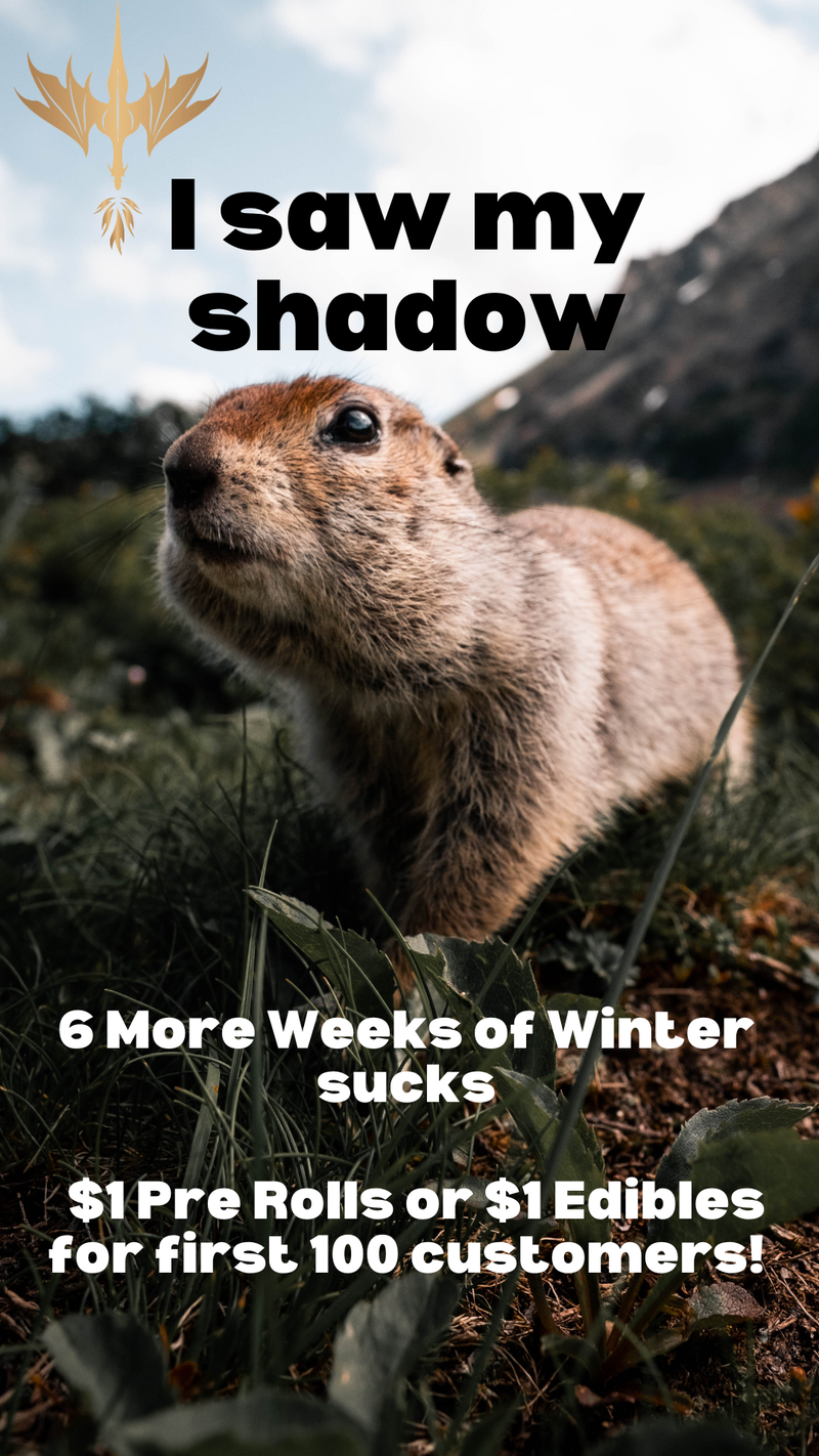 Happy GroundHog Day 2025 Gift
