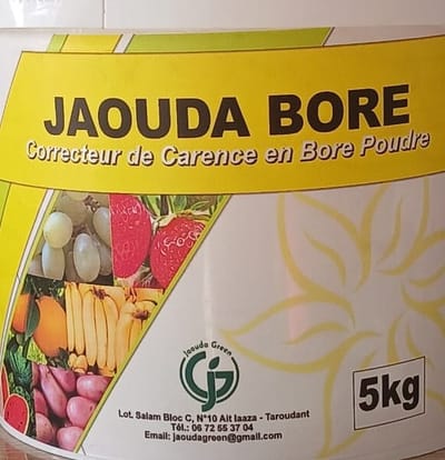 JAOUDA BORE
