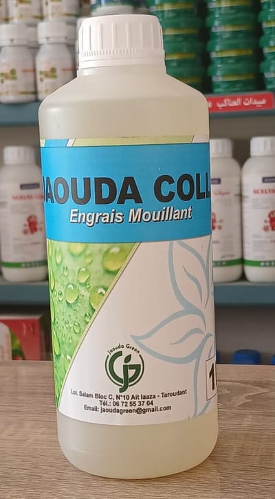 JAOUDA COLLA