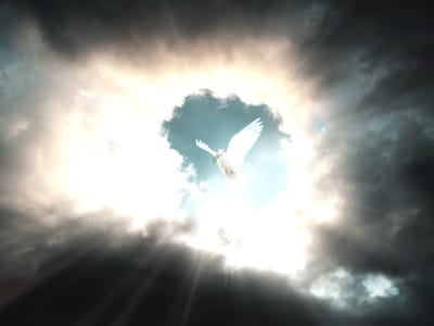 9 STEPS TO STARTING A Bible Study