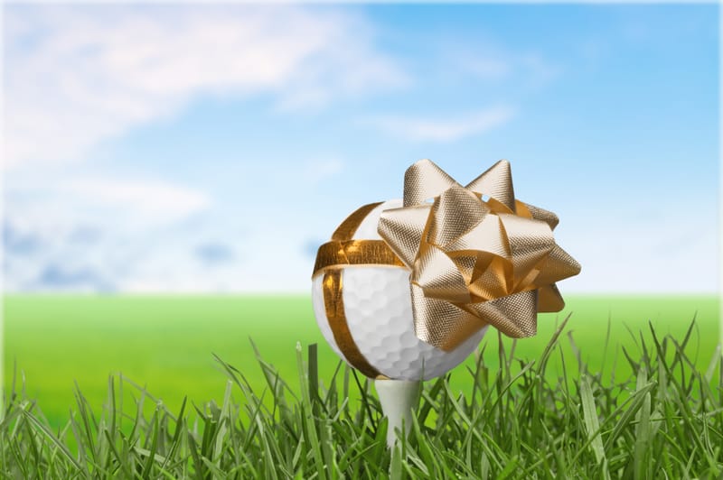 Oportunitate Erasmus+ Selecția Participanților - ASSGN01