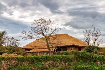 전라도달리기: 아름다운 전라도에서 즐기는 러닝 코스와 이벤트서론