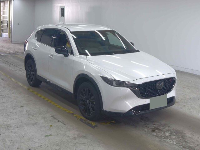 ARRIVING SOON NOVEMBER 2025