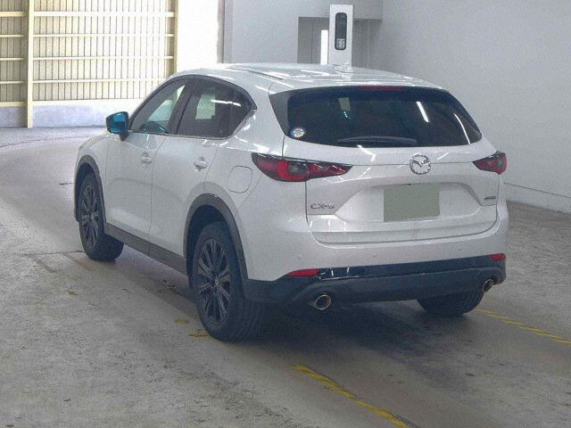 ARRIVING SOON NOVEMBER 2025