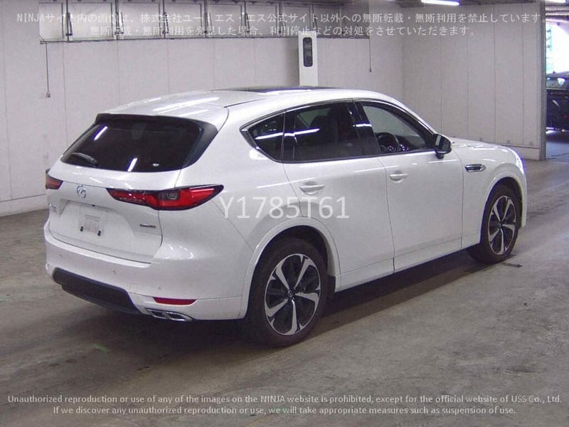 ARRIVING SOON NOVEMBER 2025