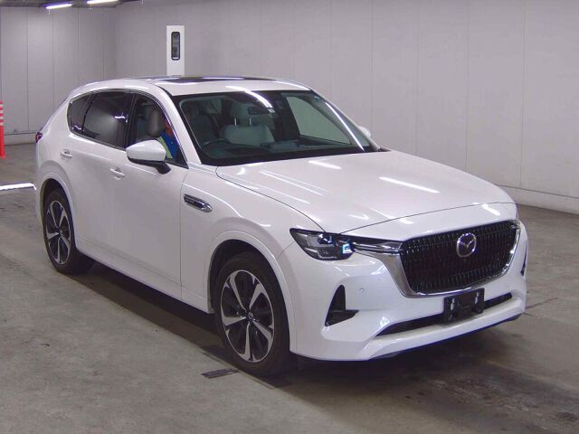 ARRIVING SOON NOVEMBER 2025