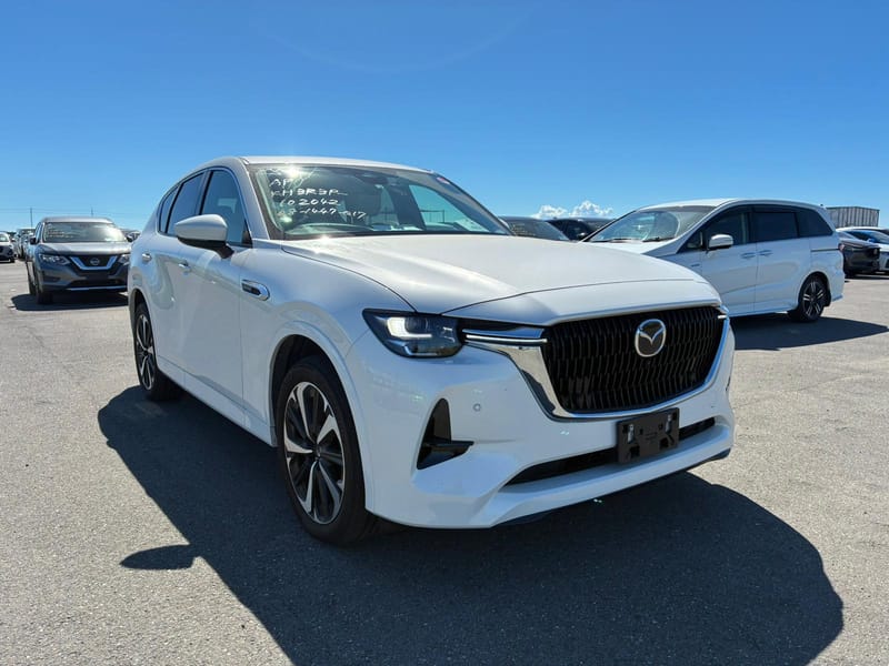 ARRIVING SOON NOVEMBER 2025