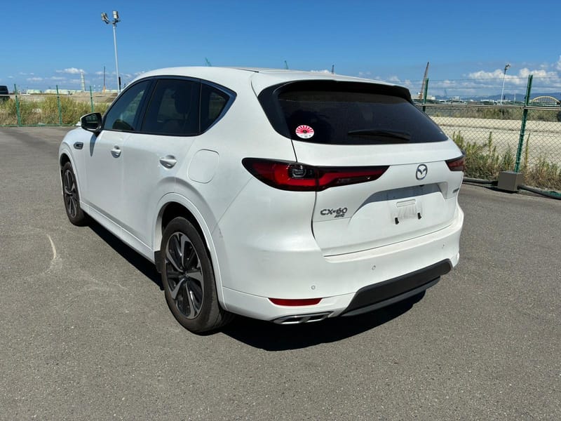 ARRIVING SOON NOVEMBER 2025