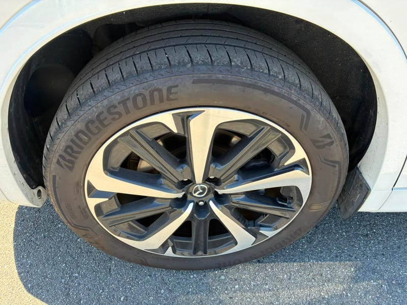 ARRIVING SOON NOVEMBER 2025