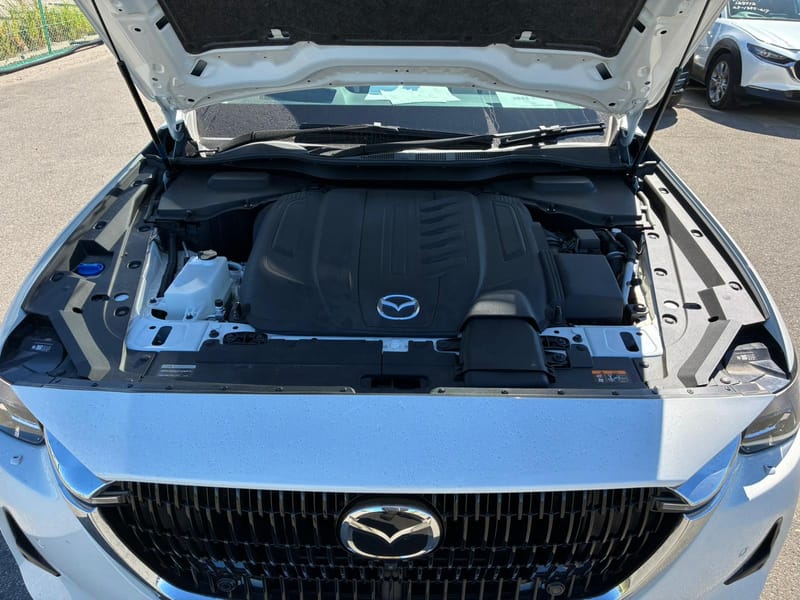 ARRIVING SOON NOVEMBER 2025