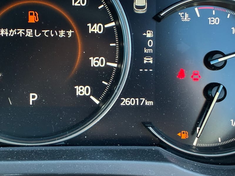 ARRIVING SOON NOVEMBER 2025