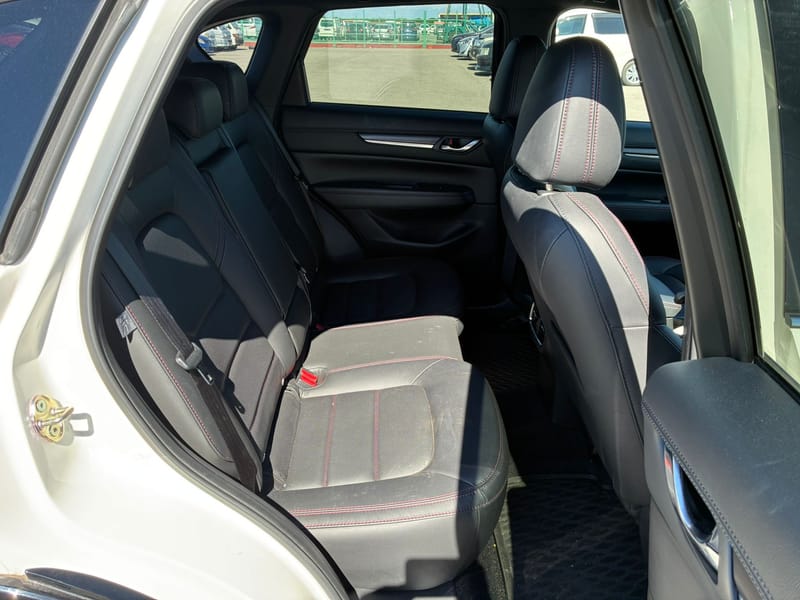 ARRIVING SOON NOVEMBER 2025