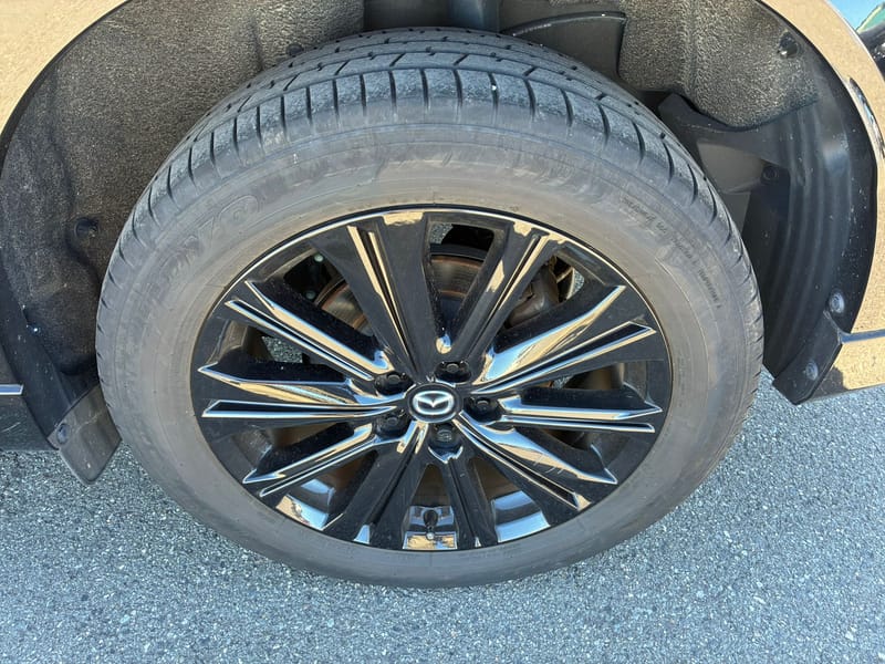 ARRIVING SOON NOVEMBER 2025