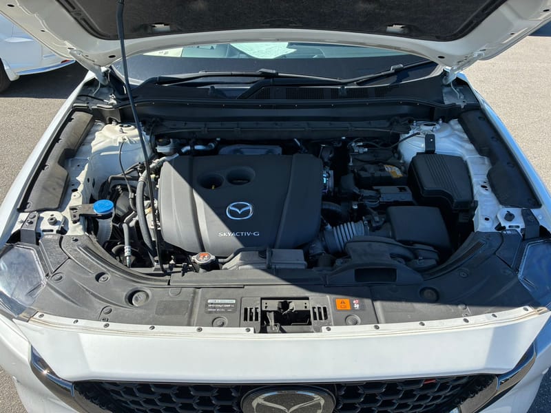 ARRIVING SOON NOVEMBER 2025