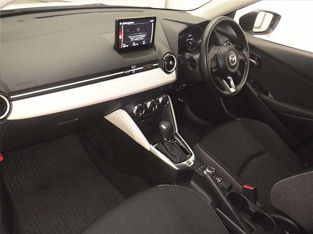 ARRIVING SOON NOVEMBER 2025