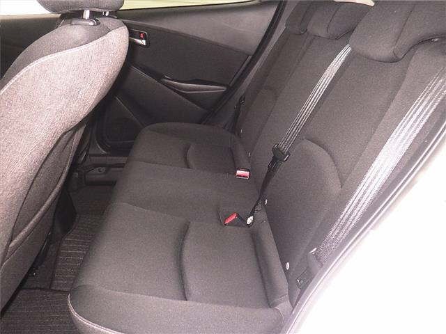 ARRIVING SOON NOVEMBER 2025