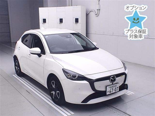 ARRIVING SOON NOVEMBER 2025